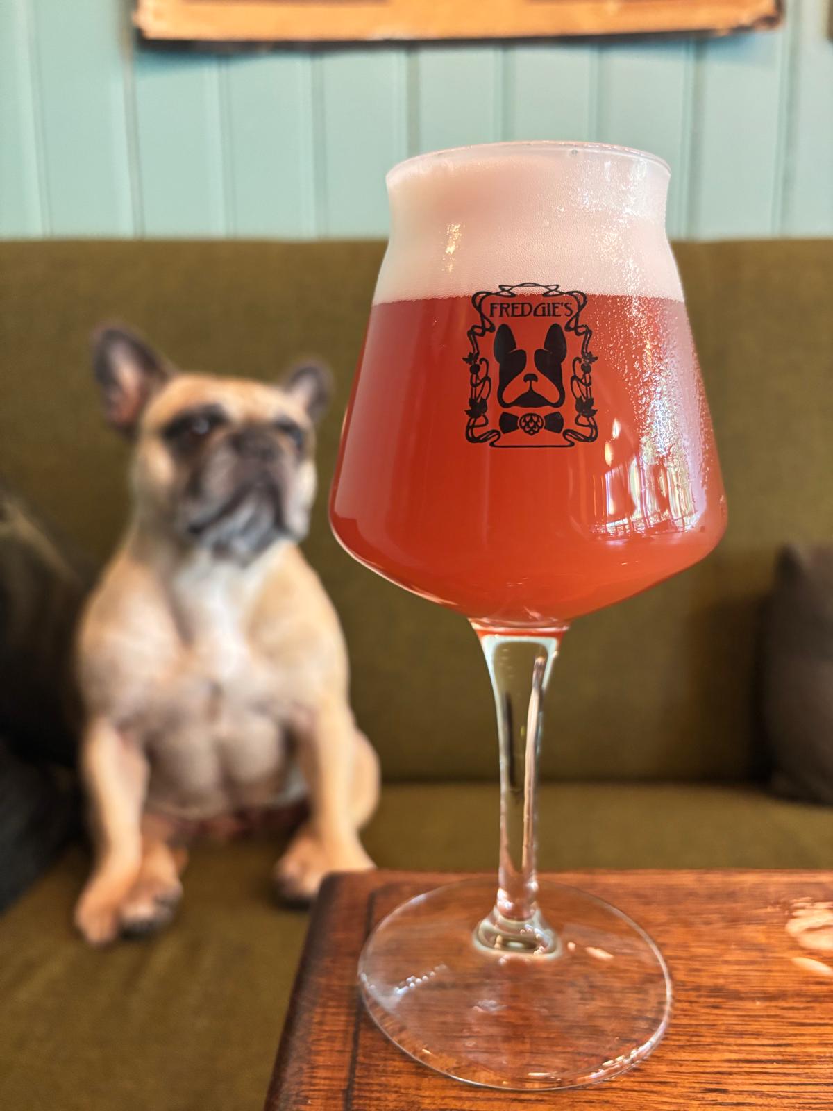 Fredgie’s Craftbeer & Plantbased Dieversluis
presenteert eerste eigen bier: Abby Blond